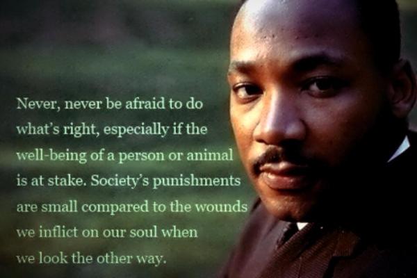 208358_451146181605478_44759584_n