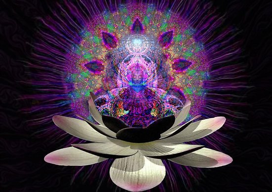 395026_457535334303985_1197273216_n