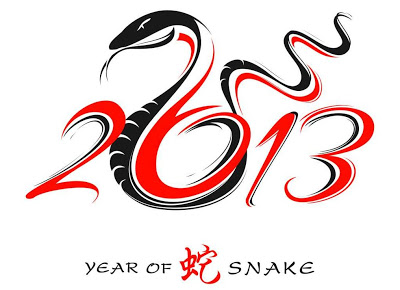 2013 snake year-1