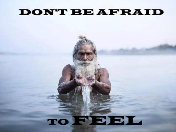 11624_499058860151264_1898151669_n