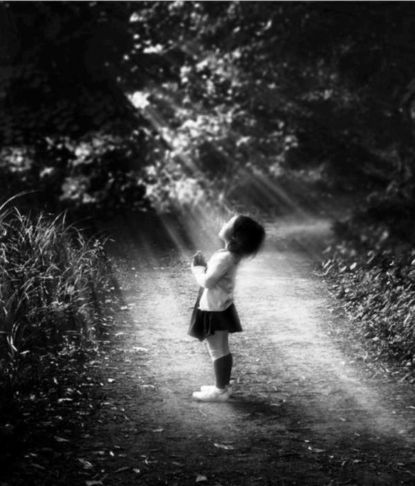 225369_498012460256272_1965160460_n