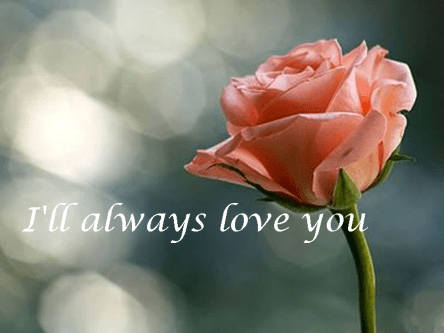 1150414_561743850560131_1602734256_n