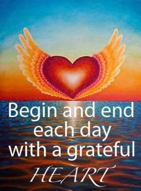 1459257_337509523057921_1667346219_n