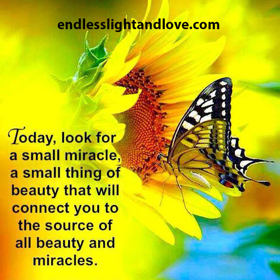 look for a small miracle