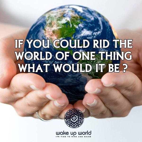 12010633_956572497721656_7185693149963159517_o