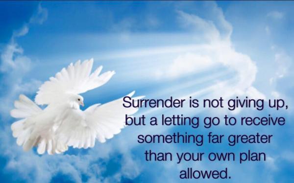 11227938_10208811670198191_5135480313477314544_n