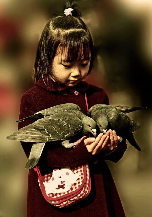 12745936_10153952236753185_5566382470844054943_n